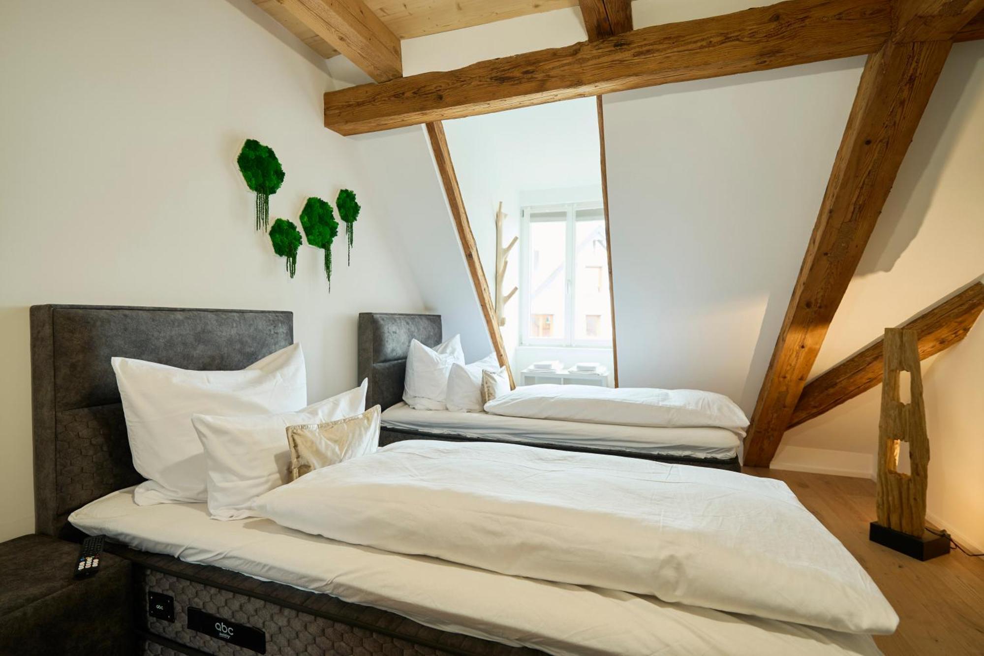 Apartmán Wood World Luxury - Massage - Bergblick - Tranpolin- Parken Markdorf Exteriér fotografie